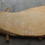 TOC-013別角度写真