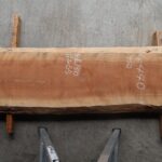 SAK-010別角度写真