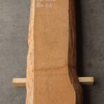 TAM-016元側拡大写真